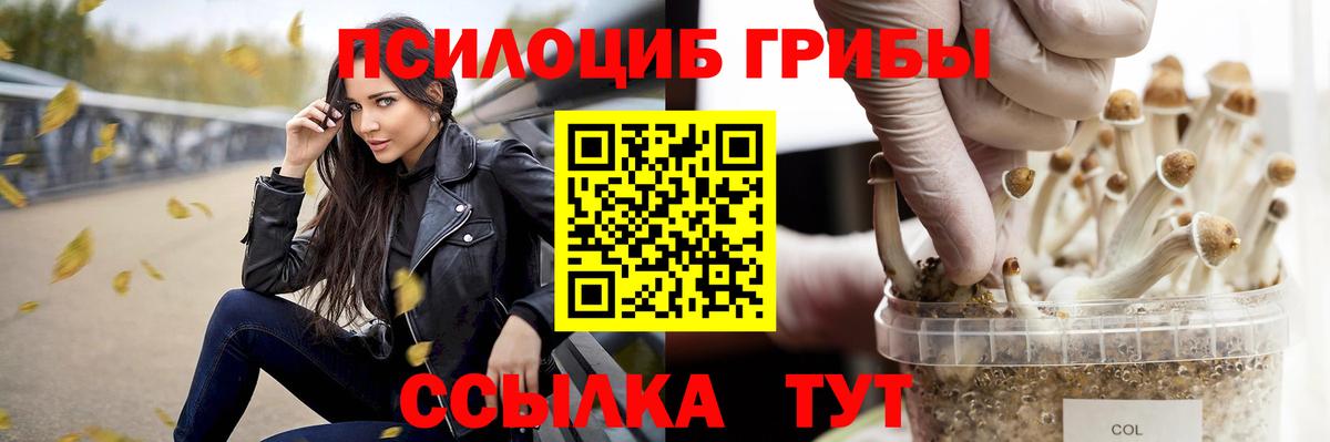 Отрадный  Галлюциногенные грибы мухоморы  где можно купить наркотик  Вход с VPN 